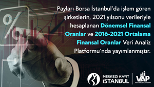 finansal_oranlar_2022_veriler