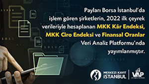 Endeksler-Finansal-Oranlar-2022-ilk-ceyrek