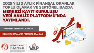 finansal-oranlar-2025-3-title.jpg